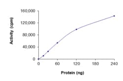 Sino Biological&nbsp;Recombinant Human EGFR Protein (d746-750, C797A, GST Tag), Active